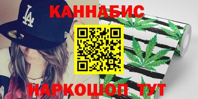 шишки Гай