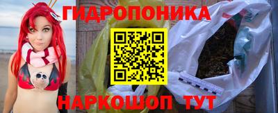шишки Гай