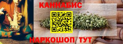шишки Гай