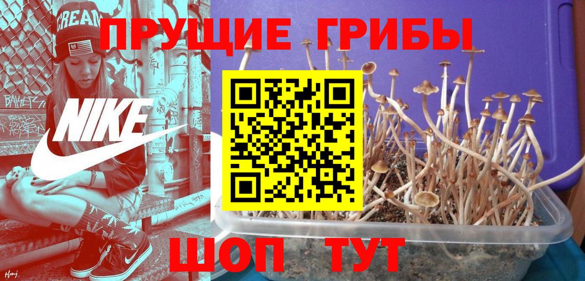 Псилоцибиновые грибы мухоморы  Вход с VPN  Сальск 