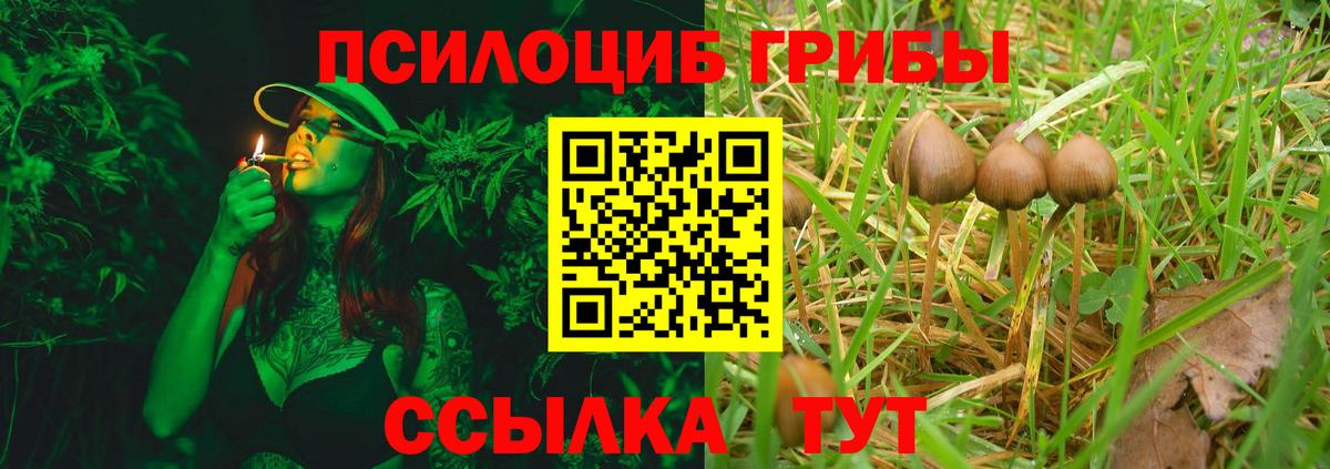 Галлюциногенные грибы Magic Shrooms Сальск